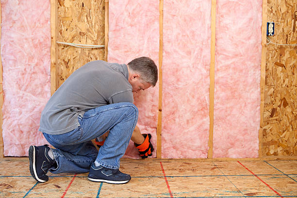 Best Specialized Insulation Services in De Kal, TX