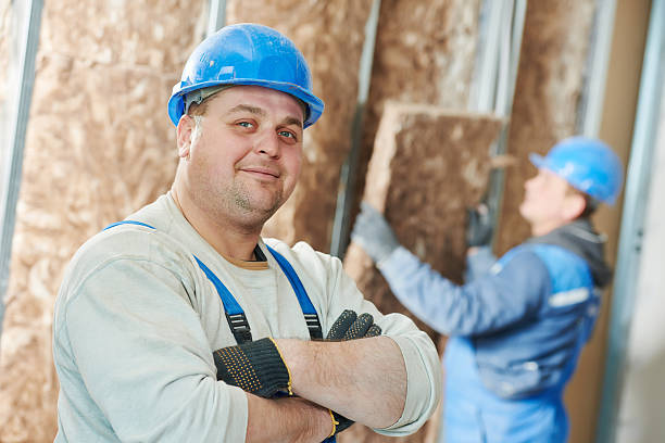 Best Geographic-Specific Insulation Services in De Kal, TX