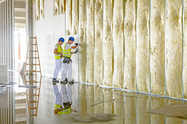 Best DIY Insulation Kits and Guidance in De Kal, TX